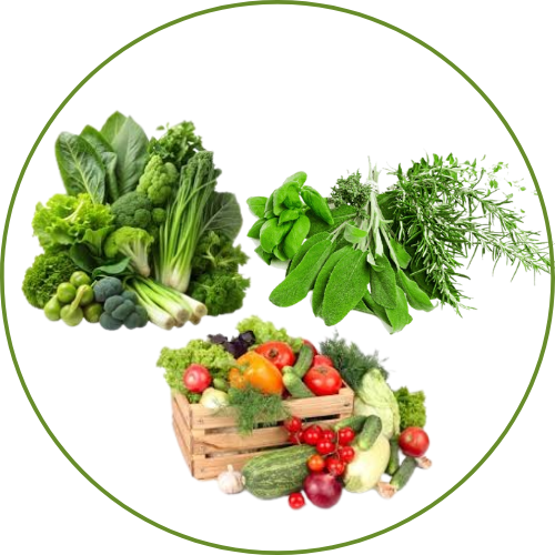 Leafy, Herbs & Organic
