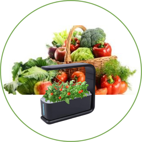Organic & Hydroponic