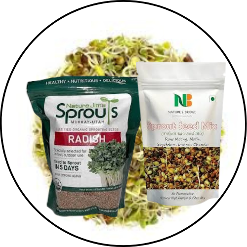 Sprout Seeds